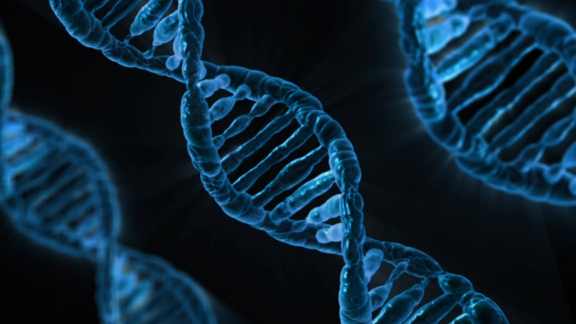 DNA-basierte Methoden in der Biodiversitätsforschung